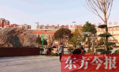 澳门金沙网址：南阳市卧龙区王村乡：聚力增长加速度 实现发展高质量