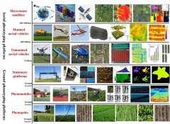 澳门金沙网址：利用基因组学辅助育种的方法已成为新品种培育和作物提质增产的重要手段