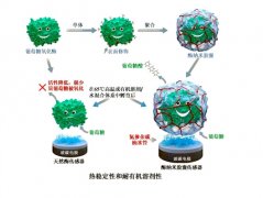 澳门金沙网址：同时多孔的网络结构实现了底物的快速运输