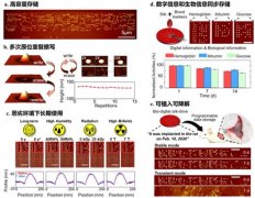 澳门金沙网址：该技术后期通过进一步结合多探针平行加工技术和快速移动平台