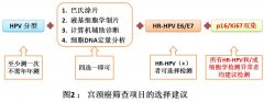 澳门金沙网址：如果同一个细胞同时表达 p16 和 ki67 （即 p16/Ki67 双阳性细胞）